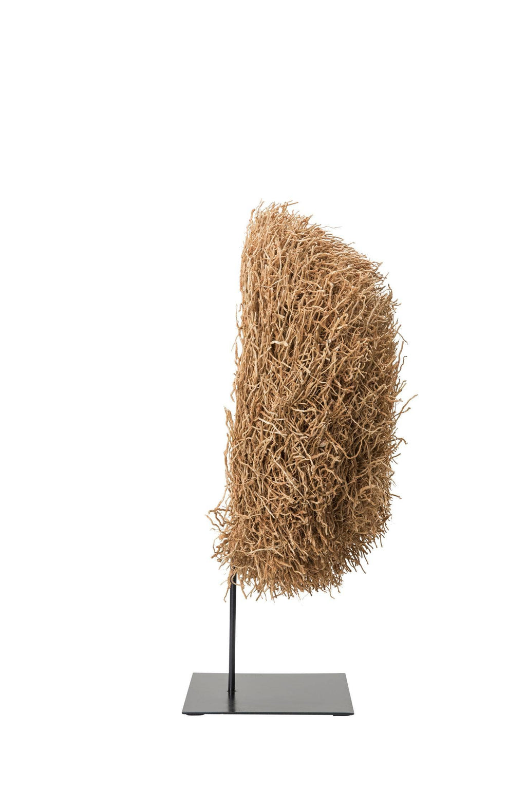 Textured brown plant sculpture on a black stand against a white background