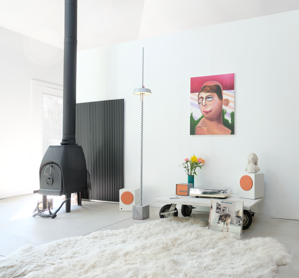 Modern interior with a black stove, white walls, and decorative items.