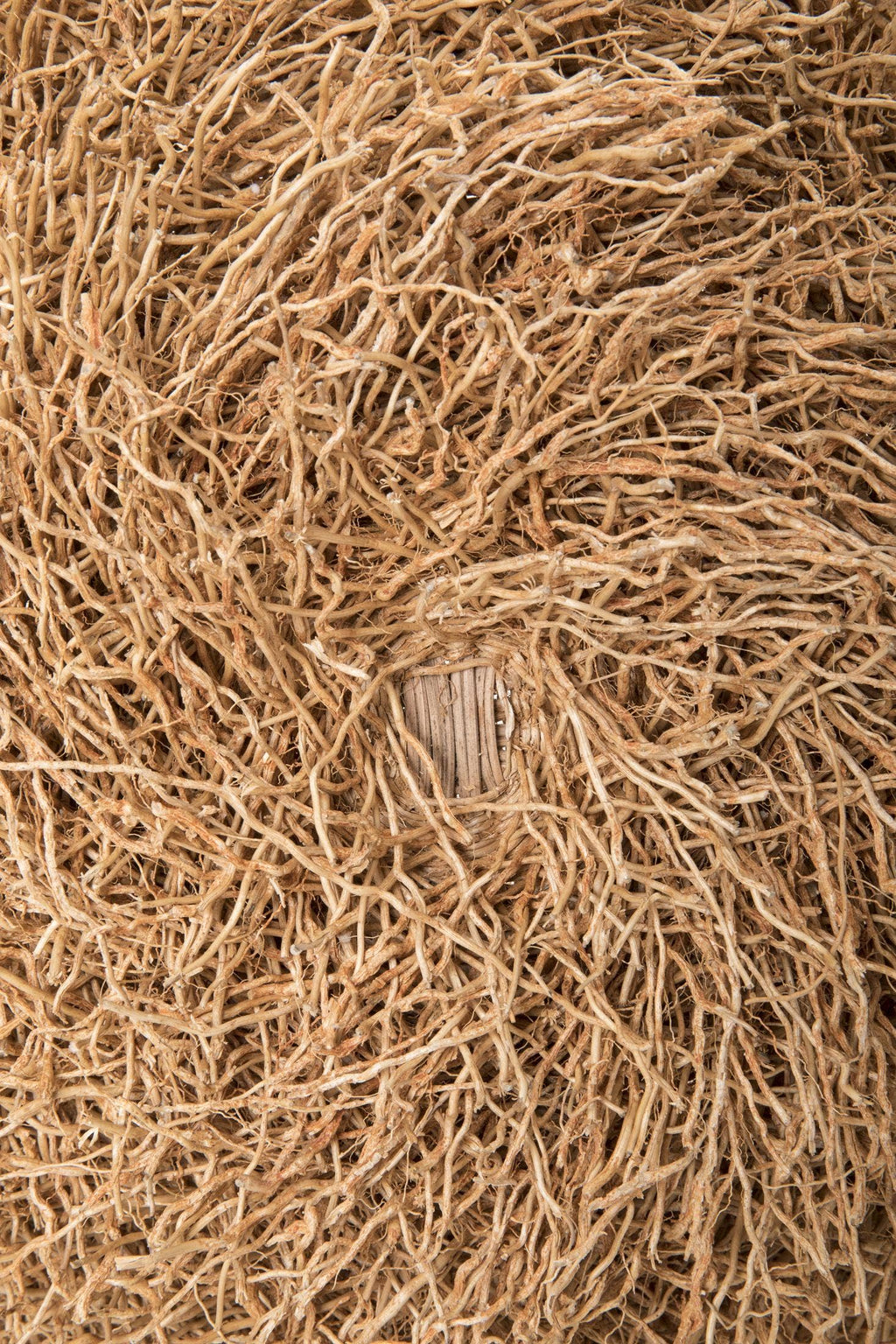 Close-up of a textured brown surface with intertwined fibers
