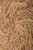 Close-up of a textured brown surface with intertwined fibers